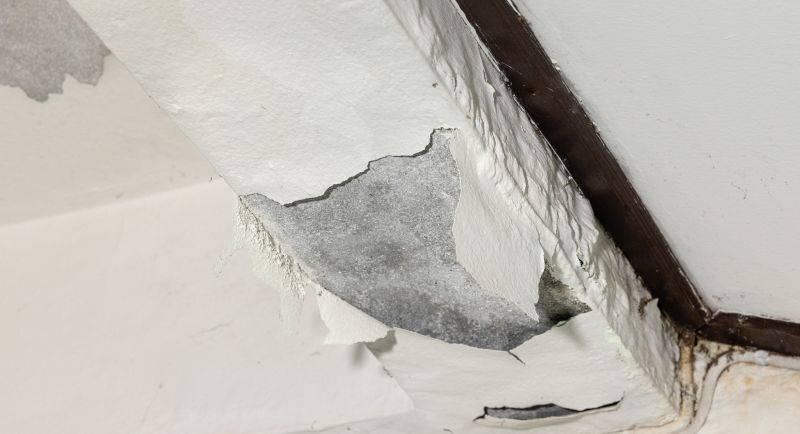Plaster Ceiling Repair Services