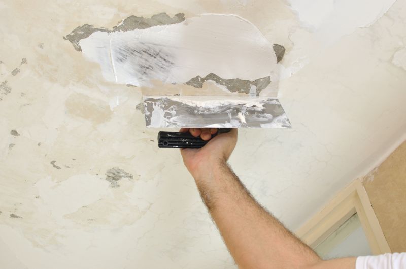 Plaster Ceiling Repair Services