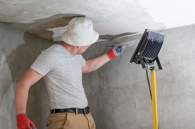 Plaster Ceiling Repair Services