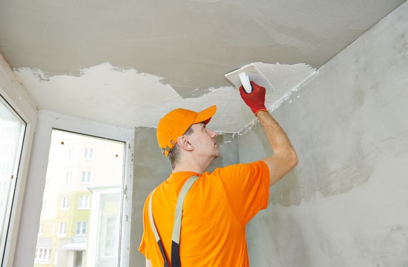 Plaster Ceiling Repair Services