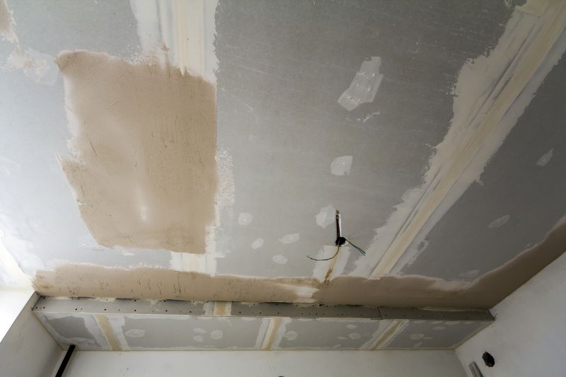Plaster Ceiling Repair Services
